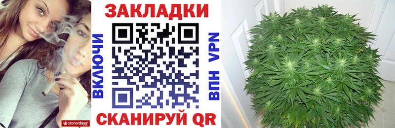 Наркотические вещества Жуковский АМФ  Меф  Марихуана  Cocaine  APVP 